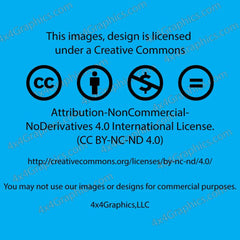 Ford Bronco Full or Sport Oval Emblem Badge Tailgate Door Replacement